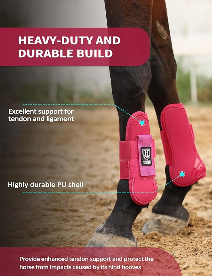 Harrison Howard Horse Tendon Boots Open Front/Fetlock Boot for Horse Protective Boots for Jumping, Trail Riding Set of 4