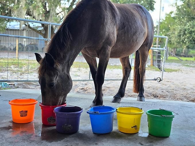 Low Calorie Hydration, Feed Topper & Treat | Safe, NO Electrolyte/Salt for Daily Intake | No Sugar Added (2LB Bag (100 Servings), As American As - Apple, Cinnamon & Oat)