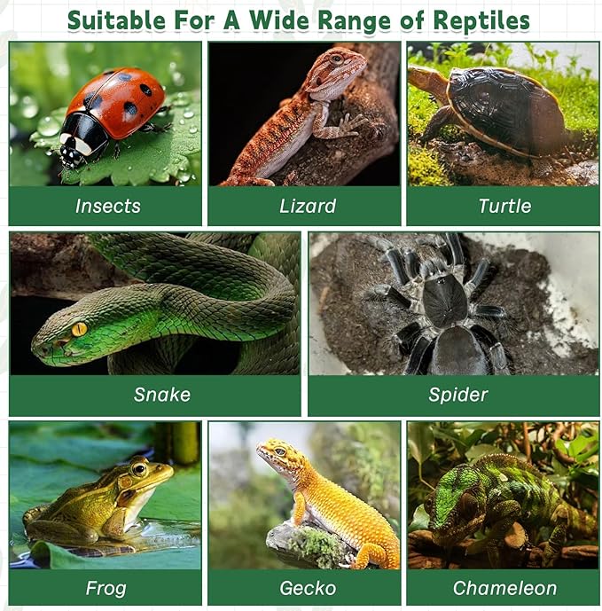 kathson Reptile Stainless Steel Tweezers Bug Feeding Clamp Cricket Tongs for Insects Lizard Turtle Snake Spider Frog Gecko Chameleon