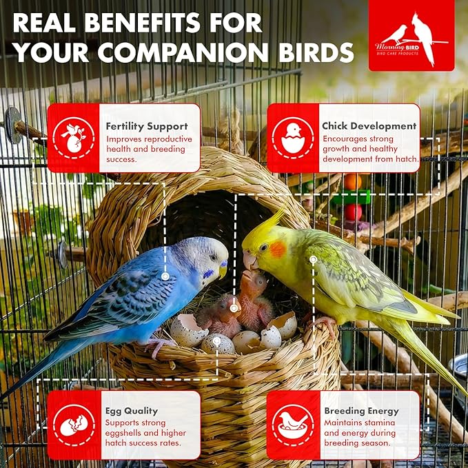 Morning Bird Breeders Blend 1.5 oz – Protein Supplement for Birds – Supports Breeding, Chick Growth, Muscle Development & Immune Health – Daily Vitamin Blend for Strong Bones & Overall Health