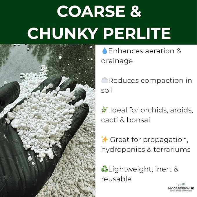 GARDENWISE Perlite for Plants, Coarse and Chunky Horticultural Perlite, Organic Perlite for Gardening Indoor & Outdoor, Perlite Bulk Bag, Made in USA (15 quarts)