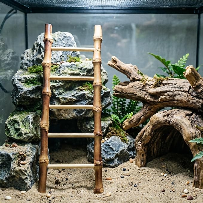 2 Pack Snake Climbing Ladder Ball Python Terrarium Exercise Enrichment for Ball Pythons Corn Snakes Lizards