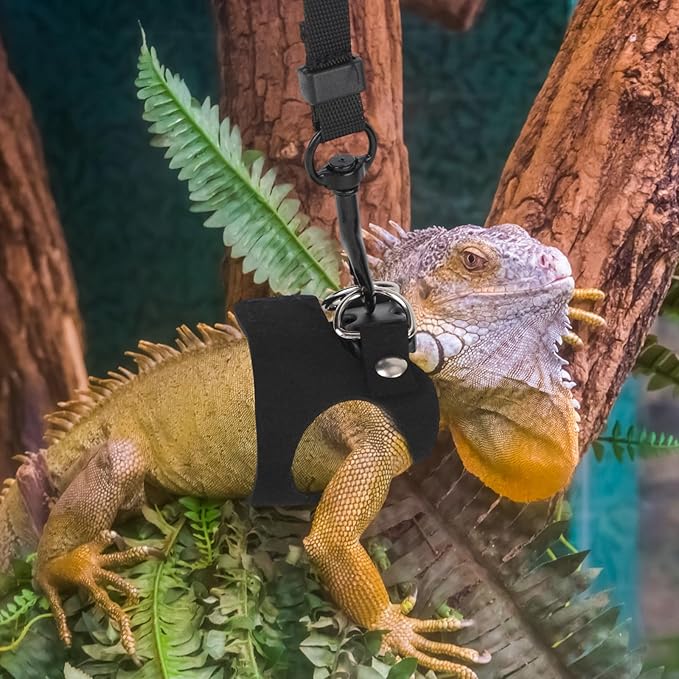 Bearded Dragon Leash and Harness Set, Reptile Walking Accessories Outdoor Safety Equipment for Small Pet Lizards Geckos and Chameleons