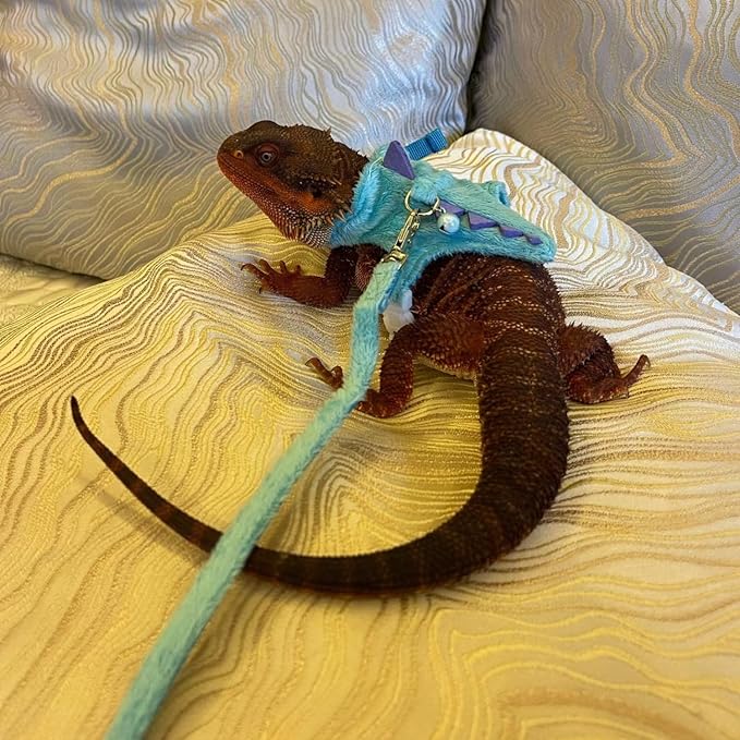 Bearded Dragon Harness and Leash Set - Soft Fleece Dinosaur Vest with Safe Bell Adjustable Lizard Traction Rope Escape Proof Outdoor Walking Training Leash for Ferret Rat Kitten Puppy (Blue)