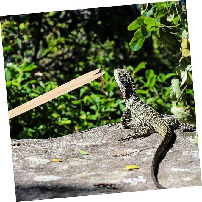 BESPORTBLE Reptile Feeding Tweezers Lightweight Bamboo Feeding Tool for Lizards Tortoises and Frogs Safe Non-deformable Design for Easy Use and Long-Term Care