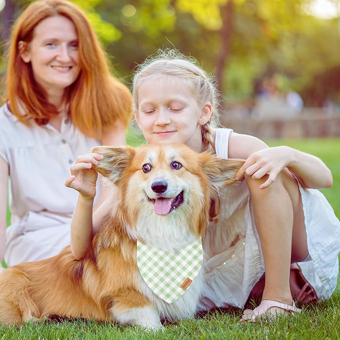 FYSUIMU 2Pcs Dog Bandanas Sage Green Plaid Triangle Pet Scarf Adjustable Puppy Neckerchief Dog Cat Bib for Spring Summer Medium Large Boy Girl Pet Costume Accessories