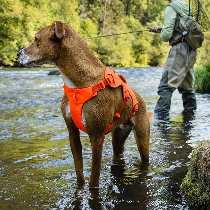 Ruffwear, Web Master, Multi-Use Support Dog Harness, Hiking and Trail Running, Service and Working, Everyday Wear, Blaze Orange, Medium