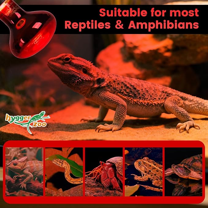 75W Infrared Heat Lamp Bulbs – 2-Pack Red IR Basking Light for Reptile & Amphibian, Silent Night-Time Heating, E26 Base, Bearded Dragon,Lizard,Turtle,Chicken