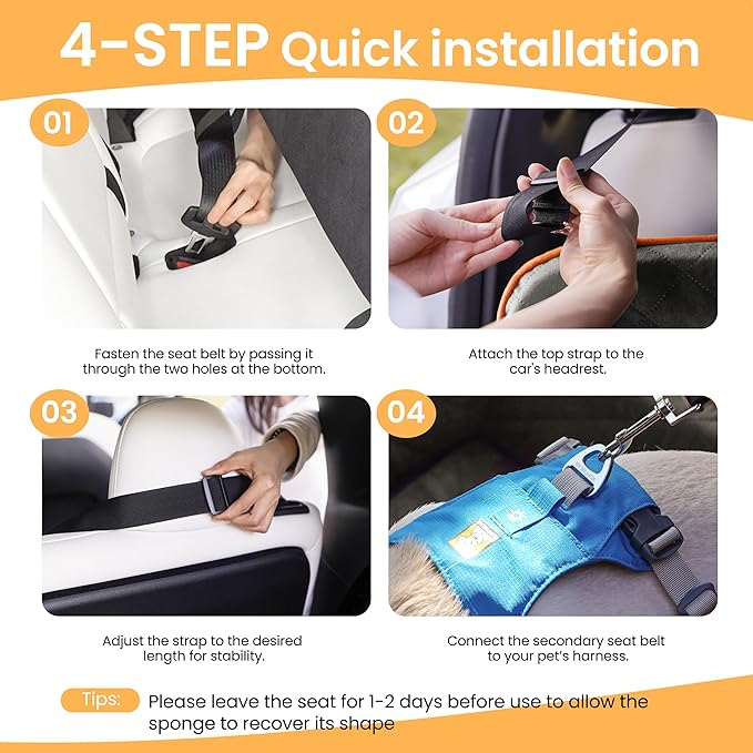 Dog Car Seat for Small Dog with Washable Mat, Memory Foam Booster Seat for Dogs Under 55lb, Elevated Pet Seat with Pockets, Anti-Slip Bed for Car, Perfect for Back Seats & Trunk with 2 Safety Leashes