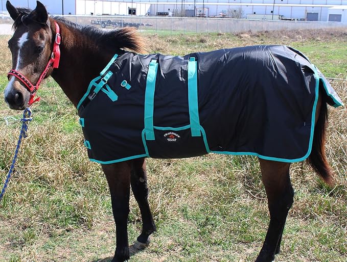 42" 1200D Miniature Weanling Donkey Pony Horse Foal Winter Blanket Teal 51945