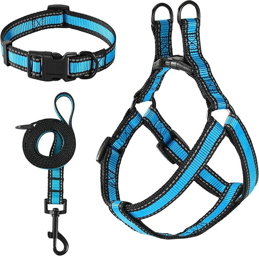 Mile High Life Night Reflective Double Adjustable Band Nylon Small Puppy Pet Dog Combo Collar Leash and Harness Set (Reflective Edge Blue, Small (Pack of 3))