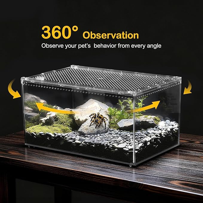 Reptile PC Terrarium,Tarantula Enclosure,Spider Tank Starter Kit,Leopard Gecko Container,Hermit Crab Habitat,Lizard Enclosure,Insect Housing,Jumping Spider Cage,Small Bearded Dragon Vivarium L