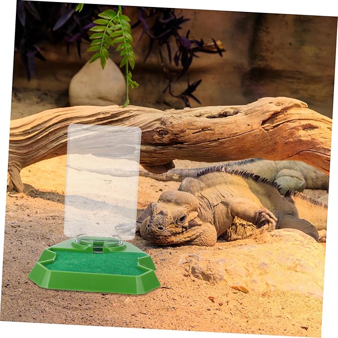 SUPVOX Reptile Feeding Box Lizard Water Dispenser for Gecko Tortoise Food Dish Plastic Water Bowl Reptile Hydration