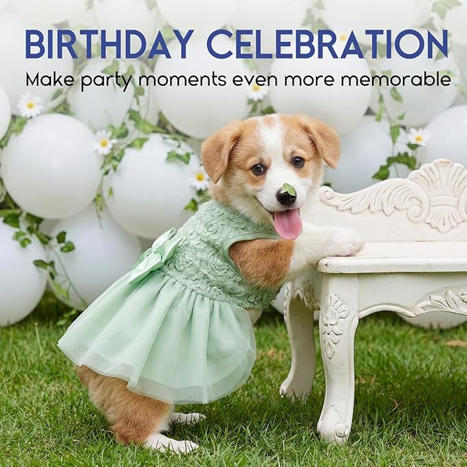 ASENKU Dog Dress Pet Wedding Dress Princess Lace Puppy Birthday Party Outfit Formal Apparel Girl for Small Medium Dogs Cats (Small, Green)