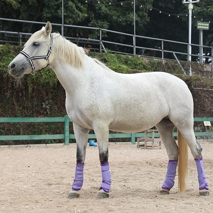 LEAFOREST Horse Fly Boots Set of 4 - Non Slip Leg Protection for Donkey Mini Pony Draft, Breathable Mesh Fly Boots for Pasture & Barn Use Violet Full