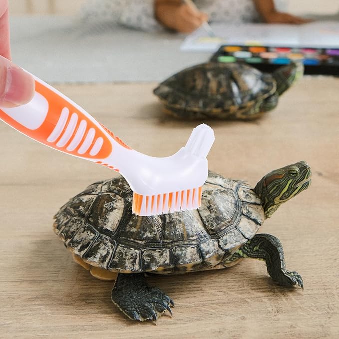 PRETYZOOM Turtle Shell Cleaning Brush for Aquatic Tortoise, Small Portable Mud Dirt Remover Brush, Orange Multi-Functional Turtle Care Tool for Reptile Health Maintenance