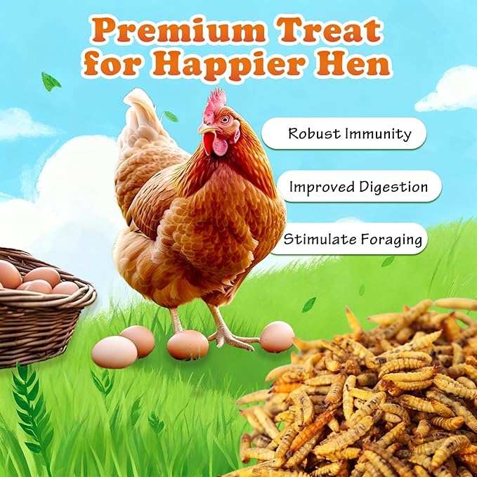 Amzey 11 LBS Dried Black Soldier Fly Larva - All Natural BSF Larvae - 85X More Calcium Than Mealworms - High Calcium Treats for Chickens, Birds, Reptiles, Hedgehog, Geckos, Turtles