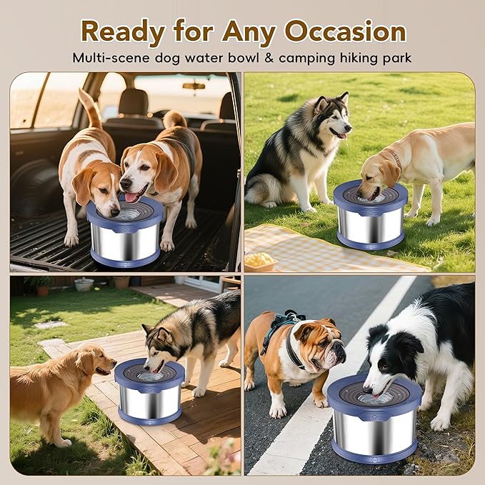 UPSKY Dog Water Bowl No Spill 10L Stainless Steel, 2.6 Gallon Large Capacity Spill-Proof Dog Bowls, Non-Slip Slow Drinking Anti-Splash Bowl for Large Messy Drinkers, No Mess Indoor/Outdoor Use, Blue