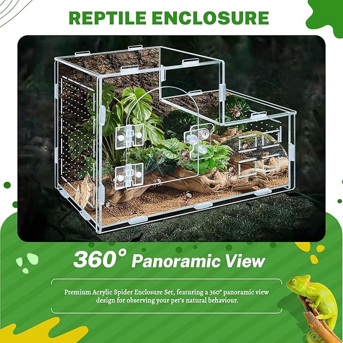Acrylic Jumping Spider Enclosure, Clear Ventilated Spider Terrarium with Snap-on Front Door, 9.8×5.5×6.8in Reptile Habitat for Snails, Mantises, Small Tarantulas and Small Tree Frogs