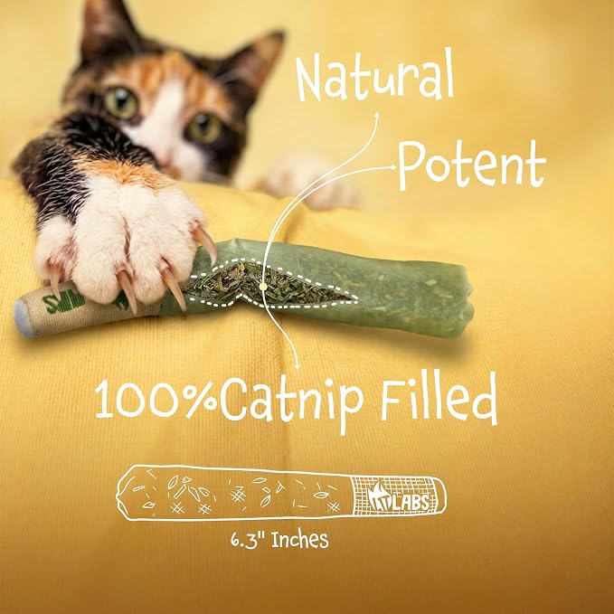 LIT LABS Cat Doobie 3 Pack Catnip Toys for Cats, Funny Cat Toys, Safe Kitten Teething Chew and Kicker Toys, Stress-Relieving Indoor Cat Gifts that Hit Different - Image 2