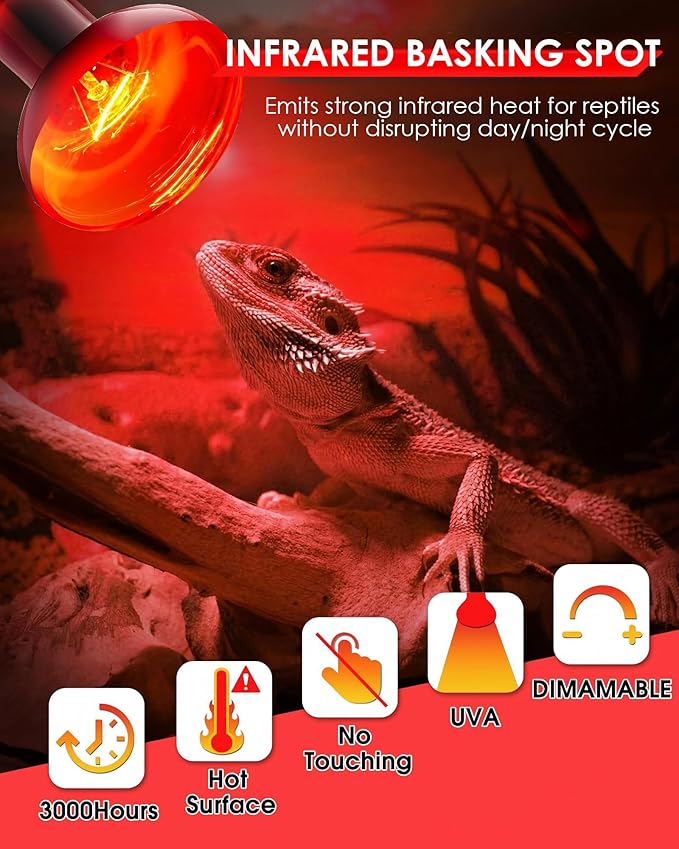 EvaStary 100W Infrared Heat Lamp Bulbs, 2 Pack Reptile Red Heat Lamp Bulb Infrared Basking Spot Light for Reptiles for Bearded Dragon, Turtle, Lizard, Snake, Chickens, Pets