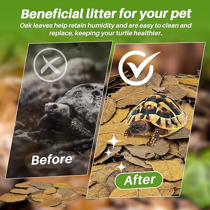 MAQIHAN Dry Oak Leaf Litter for Reptiles – 5 oz Whole Natural Oak Leaves Substrate for Isopods & Bioactive Terrarium Forest Floor Habitat, Premium Enclosure Bedding