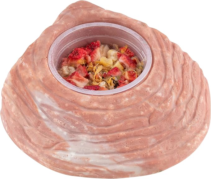 Healthy Herp Box Turtle Food Instant Meal for Reptiles - Nutritious Turtle and Tortoise Food, Habitat Accessories - Made in USA, Quick Prep - 7 x 0.19 oz (5.4g) Cups