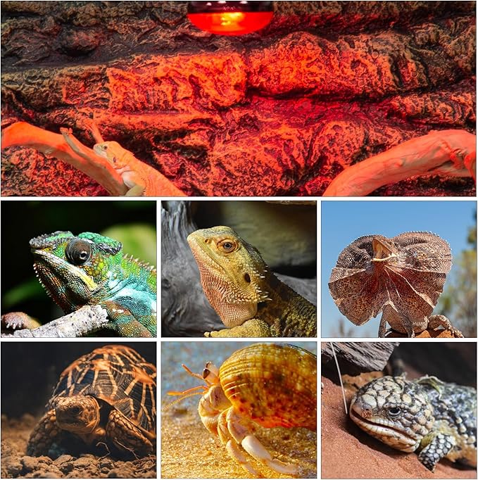 Oiibo Reptile Heat Lamp Blub, 2Pack 100W Day & Night Reptile Heat Lamp, UVA Daylight Heat Basking Bulb Infrared Heats Light Bulb for Reptiles Bearded Dragon Lizard Turtles