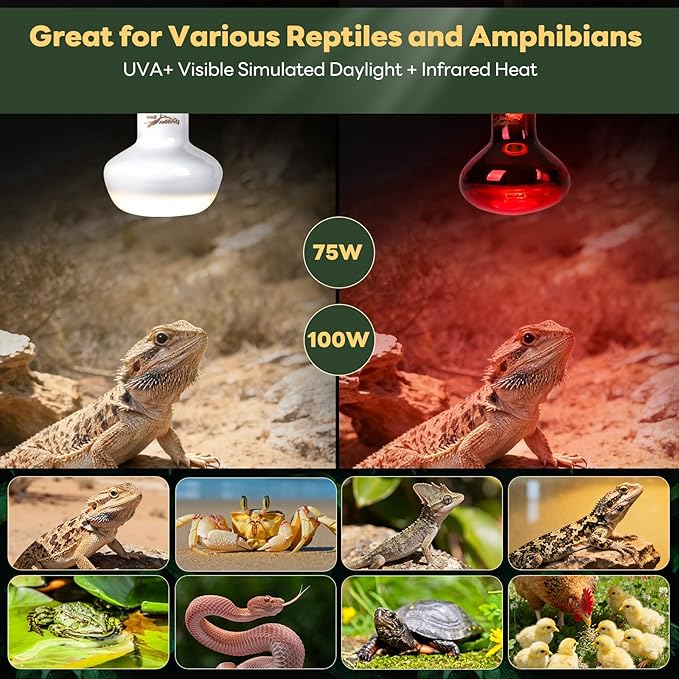 Reptile Heat Lamp Bulbs, 2 Pack 100W Reptile Heat Bulbs UVA Daylight Basking Bulb and Infrared Heat Lamp Red Night Light Bulb Combo for Bearded Dragon Chameleon Turtle Snake Gecko Lizard Chicken Tank