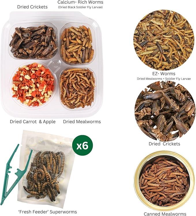 Exotic Nutrition Hedgehog Treat Sampler - Healthy Natural Treat Variety Pack - High Protein Insect Variety Pack for Pet Hedgehogs