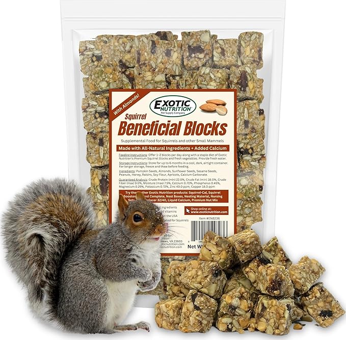 Exotic Nutrition Squirrel Beneficial Blocks - Healthy & Unique Supplemental Food with Nuts & Seeds, 20 oz