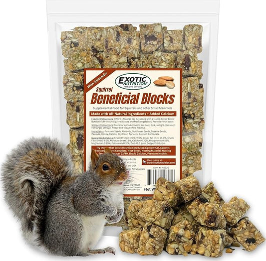 Exotic Nutrition Squirrel Beneficial Blocks - Healthy & Unique Supplemental Food with Nuts & Seeds, 20 oz