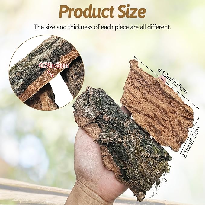 BNOSDM Reptile Cork Bark Substrate 0.6LB Tortoise Bedding for Habitat Natural Flat Cork Wood Bulk Terrarium Reusable Champagne Bark for Lizard, Crested Gecko, Spider, Chameleon, Ball Python, Tree Frog