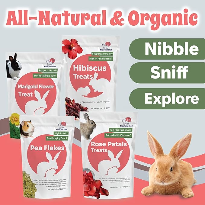 Floral Favorites by Snout and Shell – 4-in-1 Natural Treats for Small Pets – Pea Flakes, Marigold, Rose Petals & Hibiscus – Healthy Snacks for Rabbits, Guinea Pigs, Chinchillas & More