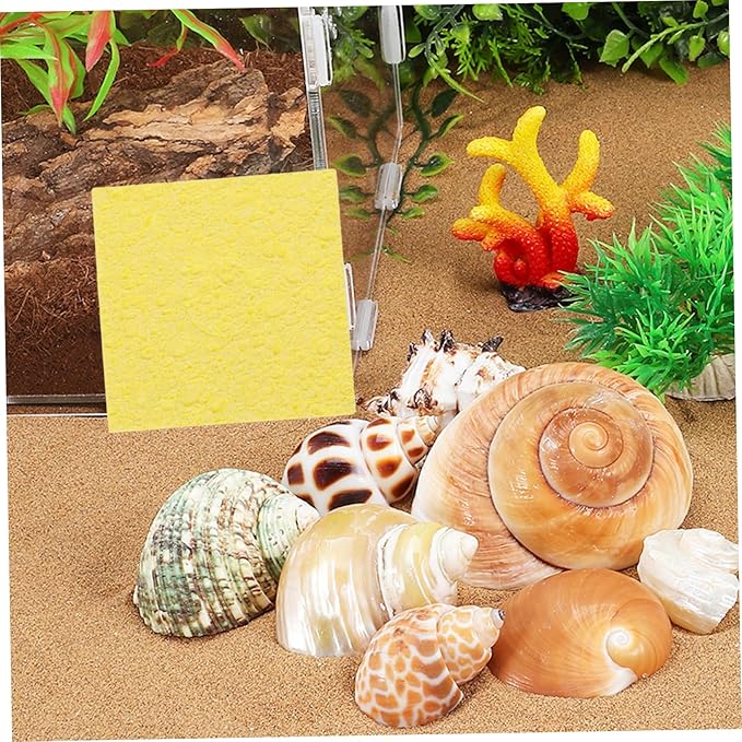 Toyvian 20pcs Maintain Tank Humidity Unbleached Crab Sponges Nutrients for Happy Crabs