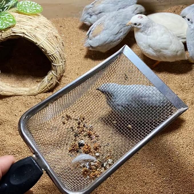 Reptiles Sand Scooper Stainless Steel Fine Mesh Terrarium Substrates Litter Substrates Scoops Scooper