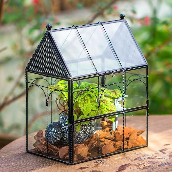 NCYP Glass Jumping Spiders Enclosure with Vent Holes - 7.5" x 4.9" x 9" Vented Glass Terrarium for Small Spider, Mantis, Small Beetle, House Shape, Tabletop Decor, Black (Terrarium Only)