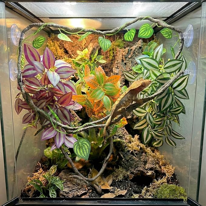 5 Pcs Reptile Plants & Habitat Decor Kit - 3 Artificial Hanging Plants & Large 3.3ft Jungle Vine Branch, Terrarium Tank Climbing Accessories for Crested Gecko, Bearded Dragon, Lizard, Snake, Chameleon