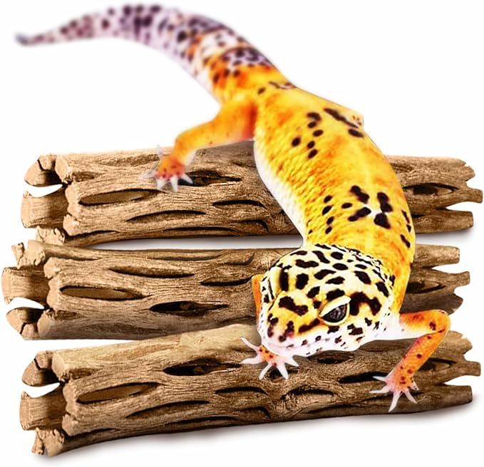 SunGrow Leopard Gecko Cholla Wood, 5 Inches Long, Create Basking Spot, Artistic Home-Decor, Lizards and Bearded Dragons, 6-Pack