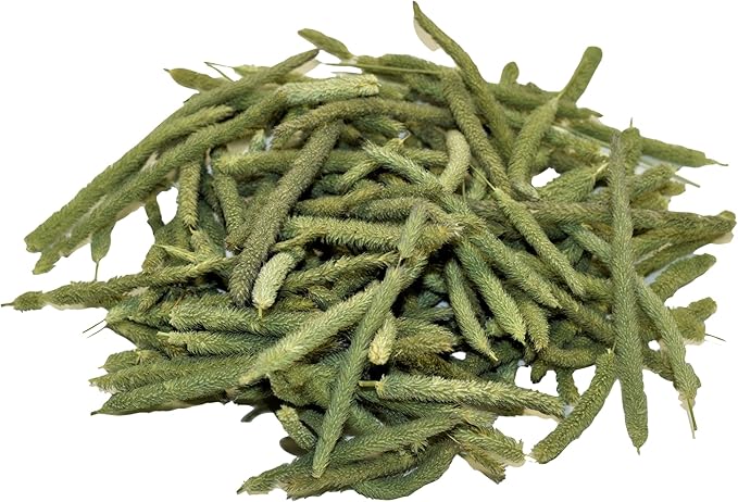 Timothy Seed Heads Small Pet Treat by Round Lake Farm