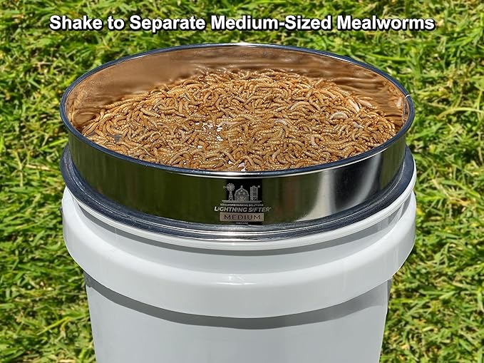 MFS' D-11 Lightning Sifter Medium Mealworm Sifting Pan (2nd Gen)