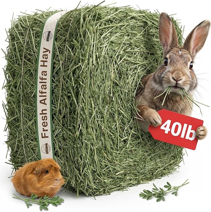 40lb Farm Fresh Alfalfa Hay for Rabbits, Guinea Pigs, Chinchillas, Goats, Hamsters & Ferrets - Organic Small Animal Food Rich in Protein & Fiber - Fresh Dried, Hand-Selected, USA Grown