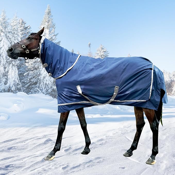 1200D Horse Turnout Blanket with Detachable Neck Cover, Medium Weight Water-Resistant Blanket，Winter Horse Blanket for Real Horses(78in/145cm)