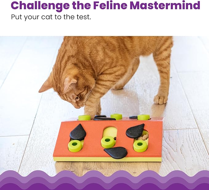 Catstages Nina Ottosson Melon Madness Puzzle & Play Cat Toy, 10.6" - Image 2