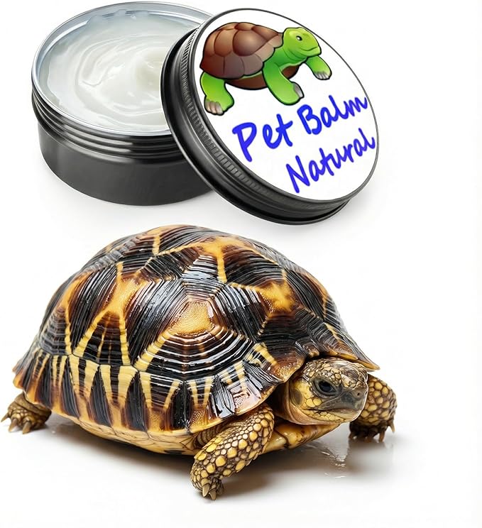 RONDURE Tortoise Shell Conditioner Balm – 2.7 OZ Moisturizer and Protector for Turtle Dry Shell Care – Treatment for Sulcata and Russian Tortoise