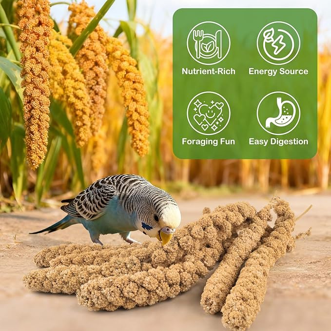 ERKOON 3.5LB Spray Millet Treat, All Natural Sun-Dried Healthy Treat Parrot Food Bird Snack for Parakeets, Lovebirds, Cockatiels, Finches, Budgies, Canaries Hamster, Bird Food Bulk