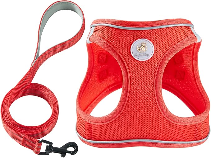 Hipubby Dog Harness and Leash Set, No Pull Soft Mesh Puppy Harness for Small Medium Dogs, Cats - Step in Reflective Breathable Lightweight Vest Harness for Walking, Training - Red, XS