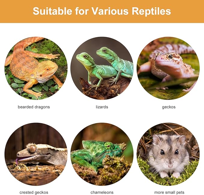 Bearded Dragon Leash and Carrier Sling, Super Soft Lizard Carrying Pouch, Adjustable Leather Wings Beardie Harness, Reptile Small Pet Snuggle Sling Bag Accessories for Outdoor Travel Walking Rest