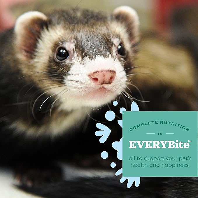 Oxbow Essentials Ferret Food,Vitamin & Mineral Rich Formula for Ferret,High Protein Food & High Fat,Small Animal Pet Products, Made in USA,4 lb Bag,(Pack of 2)