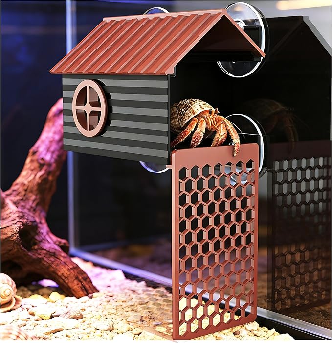 Hermit Crab Accessories | Hermit Crab Climbing Toys with Climbing Wall | Multi-Functional Hermit Crab Hideaway & Foraging Cave with Ladder | Hermit Crab Cage Decorations